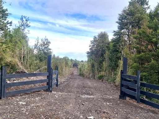 Bosque nativo y excelente conectividad
