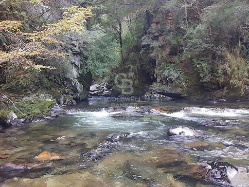 Espectacular Campo en Coyhaique a orillas del Rio Viviana.