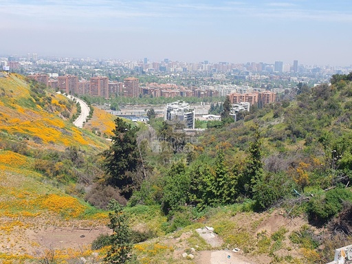 GRAN TERRENO con potencial para proyecto inmobiliario!