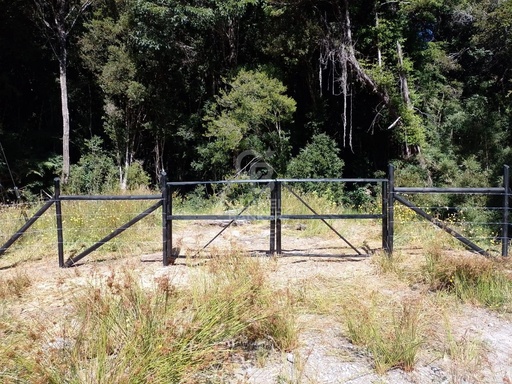 Entorno de bosques nativos | Buena Conectividad