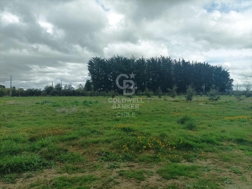 Praderas del Maullín, Santuario de la Naturaleza