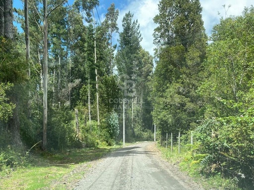 Parcela Camino Ensenada Km 35.