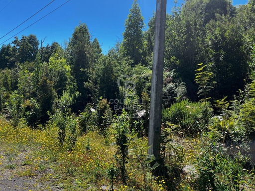 Parcela con vista al volcán Calbuco, bosque nativo