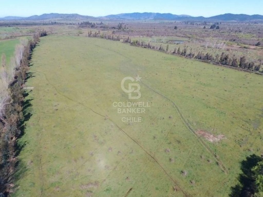 Fundo Agrícola en San Carlos