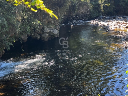 Parcela Orilla Rio Sur Puerto Varas