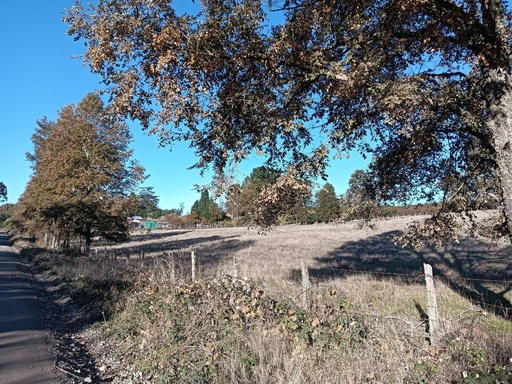 OPORTUNIDAD DE INVERSIÓN | TEGUALDA