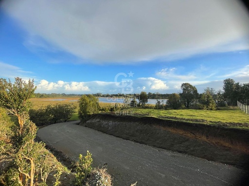 Vista a humedal Río Cariquilda l Maullín