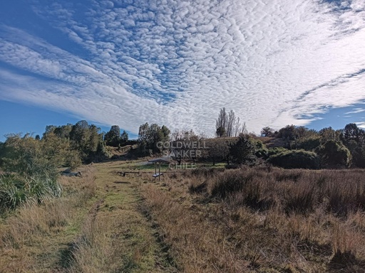 Bosque nativo y acceso a humedal l Maullín