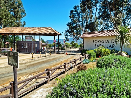 ¡Tu Refugio Natural en Foresta Zapallar! !Gran oportunidad!