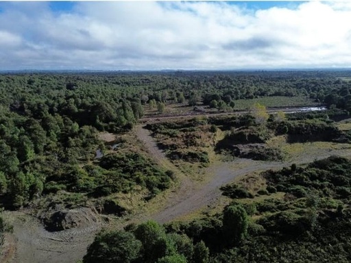 Fundo Bonanza. Puerto Montt