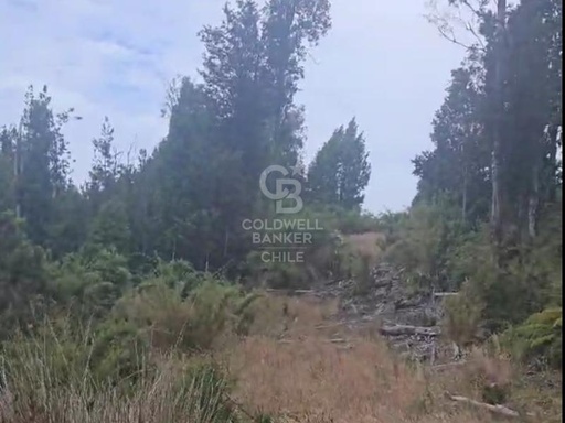 ¡Descubre tu oasis en Chiloé! Aguas Buenas, Ancud.