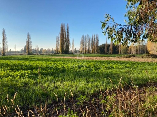 Maravilloso  Campo en el Sur de Chile.