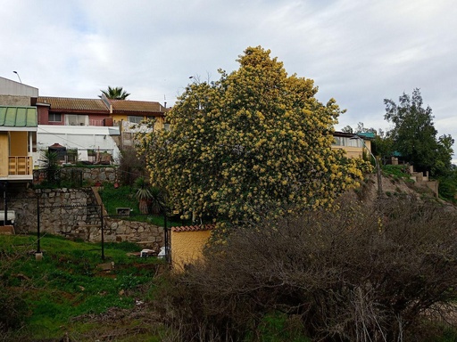 Sitio Para Construcción Barrio Norte Villa Alemana