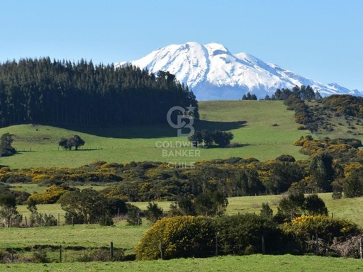 Parcelas de 5.000 m2 muy cerca de Puerto Varas (en verde)