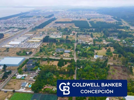 Villa Italia 9.000 M2, PRC destino mixto. Permite lotear