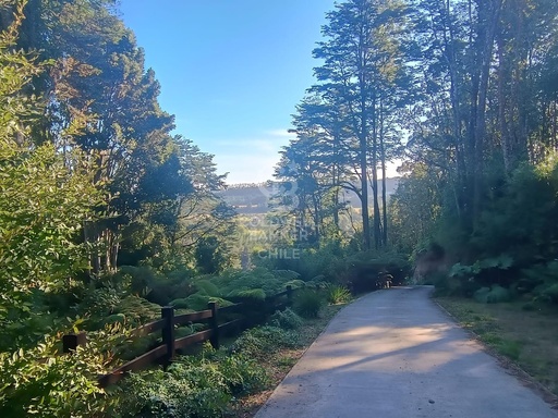 Casa y  Cabaña en Parcela | Vista bosque nativo.