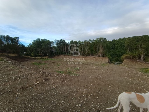 Espectacular Comercial con Acceso Carretera y Río