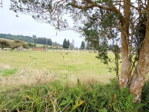 Parcela en Frutillar: Naturaleza y Conectividad