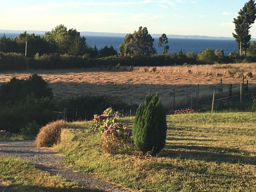 Vistas a volcanes, cercana al Lago
