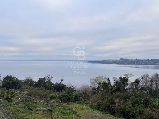 Futrono: Vista al Lago Ranco, 5.000 m² exclusivos