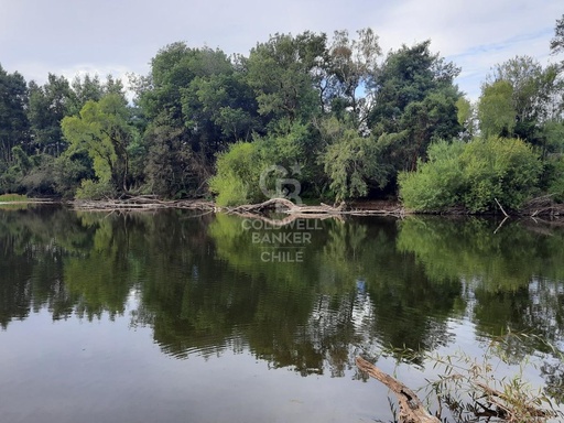 Parcelas con Orilla a Río Cruces