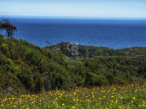 Playa Estaquilla | A 1 hora de Puerto Varas