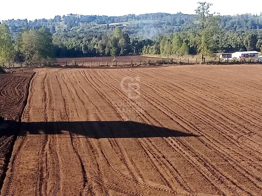 Excelente ubicación cercano al Lago Ranco.